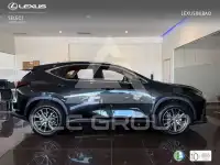 2026 Lexus NX250