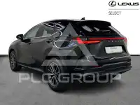 2026 Lexus NX250