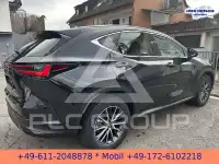 2026 Lexus NX250