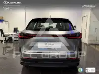 2026 Lexus NX250