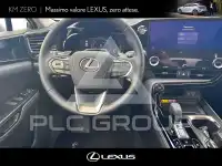 2026 Lexus NX250