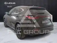 2026 Lexus NX250