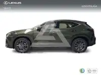 2026 Lexus NX250