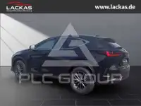 2026 Lexus NX250