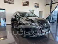 2026 Lexus NX250