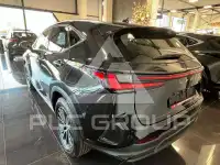 2026 Lexus NX250