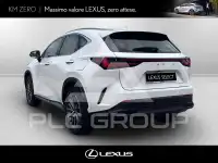 2026 Lexus NX250