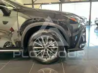 2026 Lexus NX250