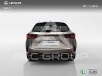 2026 Lexus NX250
