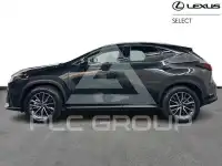 2026 Lexus NX250