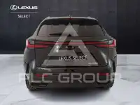 2026 Lexus NX250