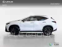 2026 Lexus NX450