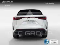 2026 Lexus NX450