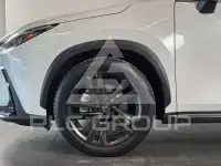 2026 Lexus NX450