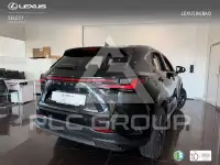 2026 Lexus NX450