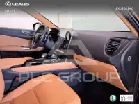 2026 Lexus NX450