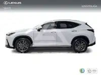 2026 Lexus NX450