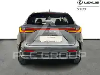 2026 Lexus NX450