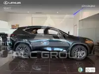 2026 Lexus NX450