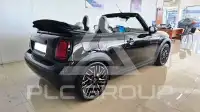 2026 Mini Unknown