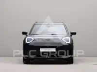 2026 Mini Paceman