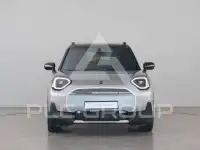 2026 Mini Paceman