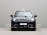 2026 Mini Paceman