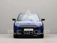 2026 Mini Paceman