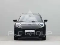 2026 Mini Paceman