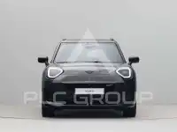 2026 Mini Paceman
