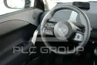 2026 Mini Paceman