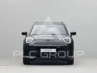 2026 Mini Paceman