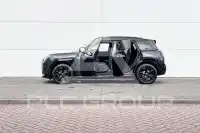 2026 Mini Paceman