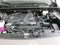2026 Toyota RAV4