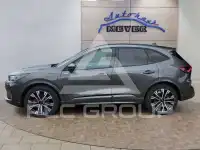 2026 Ford Kuga