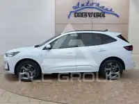 2026 Ford Kuga