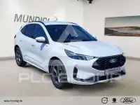 2026 Ford Kuga