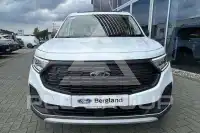2026 Ford Tourneo