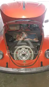 2026 Volkswagen BEETLE