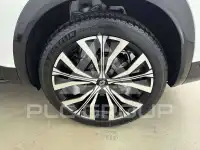 2026 Renault Austral
