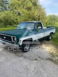 1978 Chevrolet Silverado