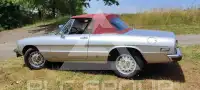 1978 Alfa Romeo Spider