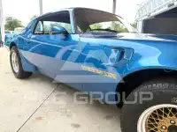 1979 Pontiac FIREBIRD