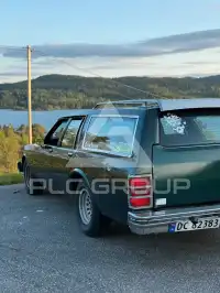 1981 Chevrolet CAPRICE