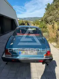 1981 Jaguar XJ