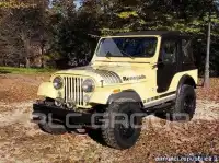 1981 Jeep Renegade