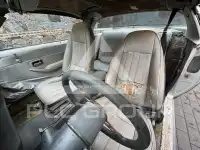 1981 Pontiac FIREBIRD