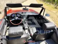 1981 Alfa Romeo Spider