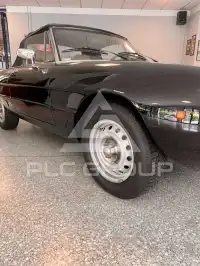 1981 Alfa Romeo Spider