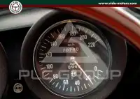 1981 Alfa Romeo Spider